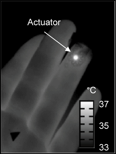 The thermal actuator in the epidermal sensing device generates heat up to 7 degrees Celsius, imperceptibly warming the skin. Blood in vessels beneath the device carry away the heat, and the device’s sensors measure the direction of blood flow and the dissipation of the heat. (Source: R. Chad Webb, Department of Materials Science and Engineering, University of Illinois at Urbana-Champaign)