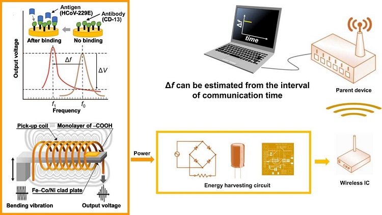 Wireless transmission performance testing