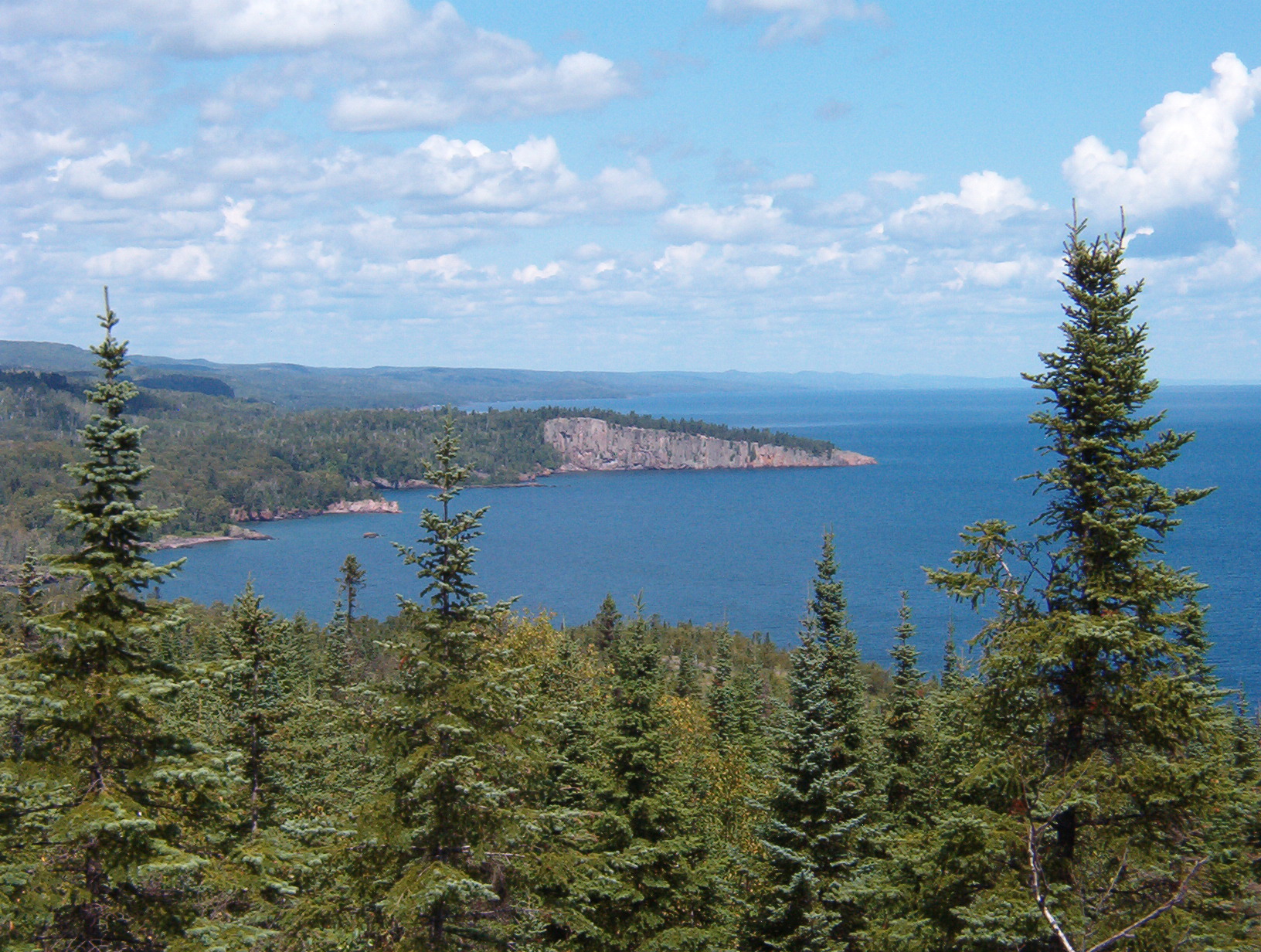 The Boreal forest. Source: Kablammo