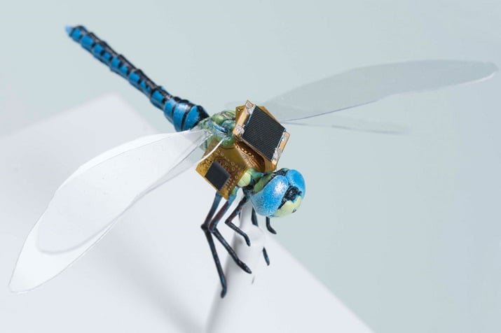 This mini backpack could send commands to dragonflies to perform a number of different applications normal drones would be unable to perform. Source: Draper 