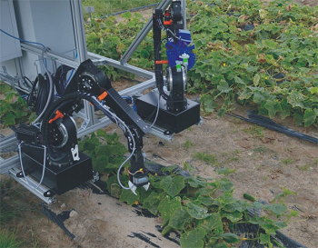 A prototype of the dual-arm robot system during the first field tests. Source: Fraunhofer IPK