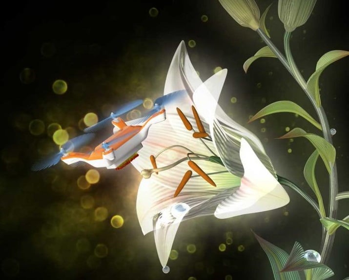 This illustration shows a radiowave controlled, bio-inspired flying robot equipped with vertically aligned animal hairs coated with ionic liquid gel demonstrates flower pollination.(Image Credit:Dr. Eijiro Miyako) 