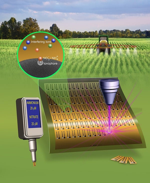 Engineers are developing a system of low-cost, flexible, graphene-based biosensors connected to wireless networks that enable rapid monitoring of nitrogen levels throughout a farm field. Source: Robert Gates