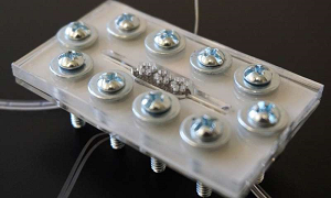 Miniaturized biological solar cell assembled micro-BSC device. Source: Seokheun Choi