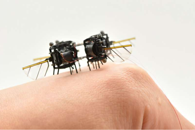 Source: MIT Soft and Micro Robotics Laboratory