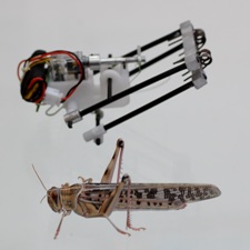 TAUB robot. (Source: Tel Aviv University)