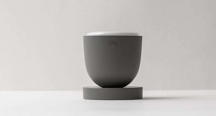 Olly is designed to help people get a better night's sleep. Source: Luple
