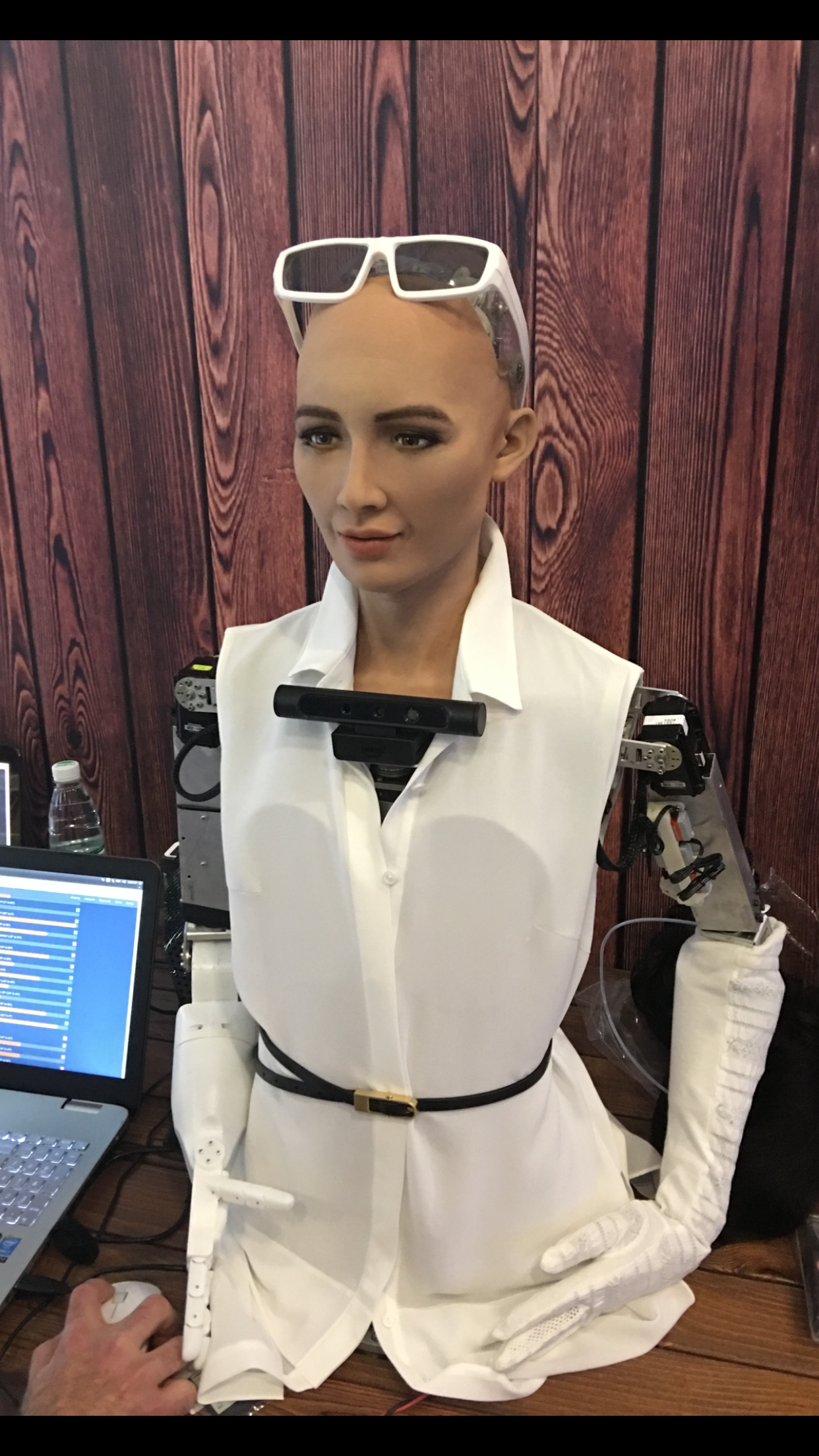 Meet Sophia; Source: Hanson Robotics