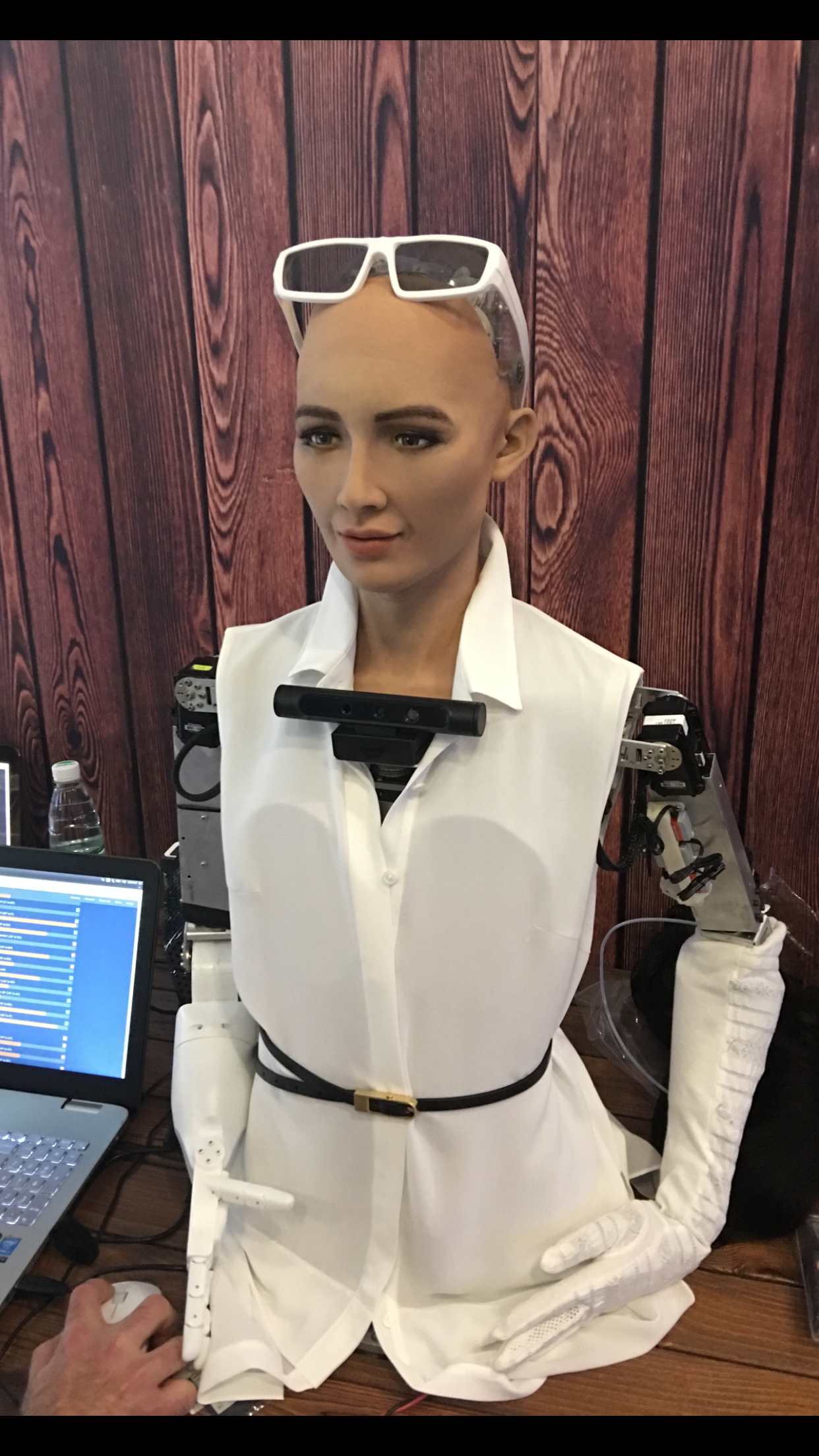 Sophia Robot 2025 - Bernadet Terees