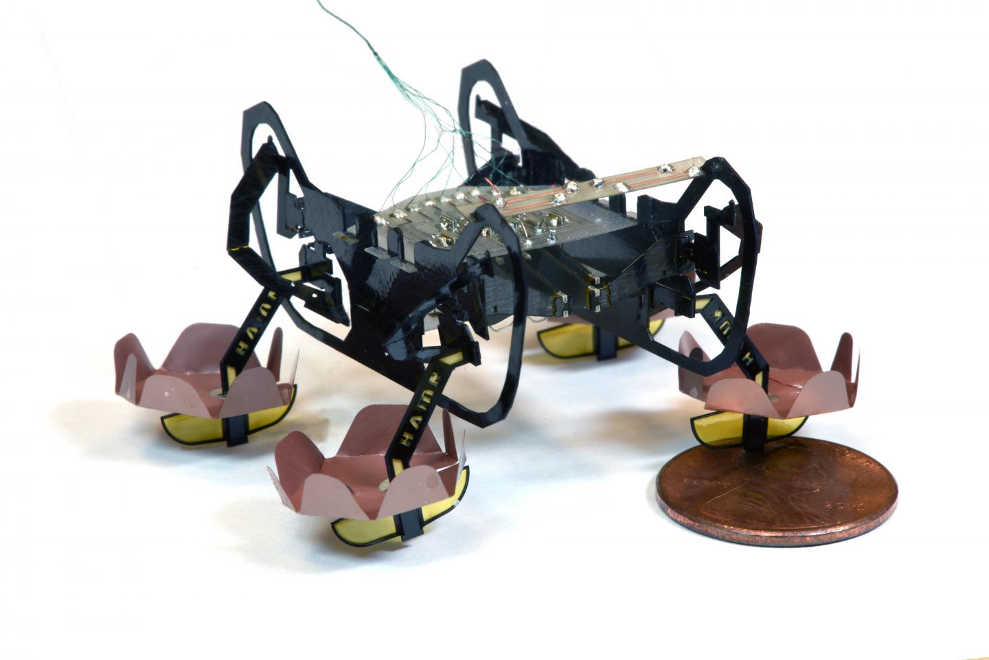 The next generation of Harvard's Ambulatory Microrobot (HAMR) can walk on land, swim on the surface of water, and walk underwater, opening up new environments for this little bot to explore. (Source: Yufeng Chen, Neel Doshi, and Benjamin Goldberg/Harvard University)