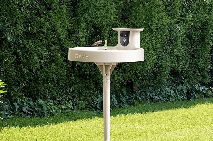 How do you enhance bird watching experience? Offer a bird bath that offers a heated water stream in the winter, so it doesn&rsquo;t freeze and cameras built in. Source: Netvue Technologies Co. Ltd
