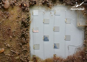 The innovation will integrate UV-LEDs in a protective coating scheme that will allow for the UV light to be emitted from the coating surface. Source: AkzoNobel