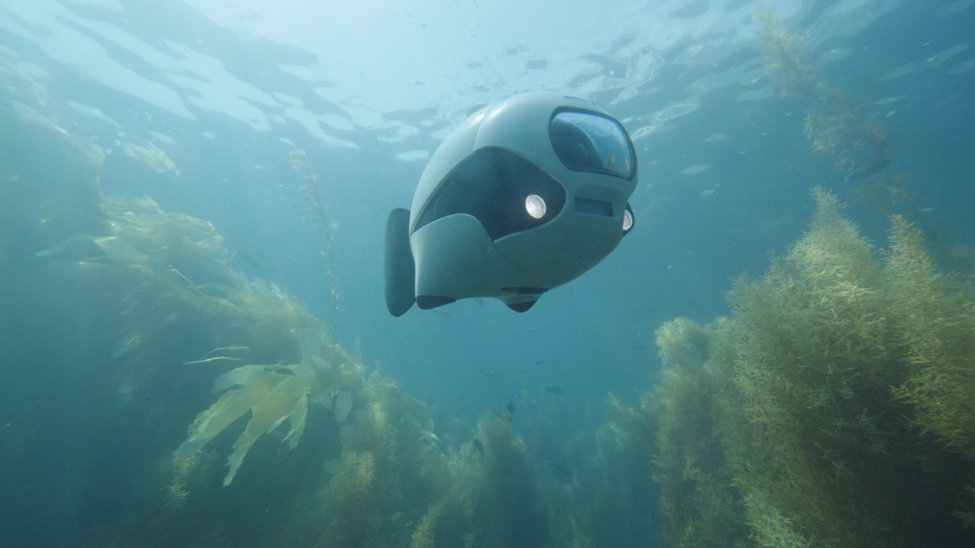 Biki the underwater fish drone (Biki)