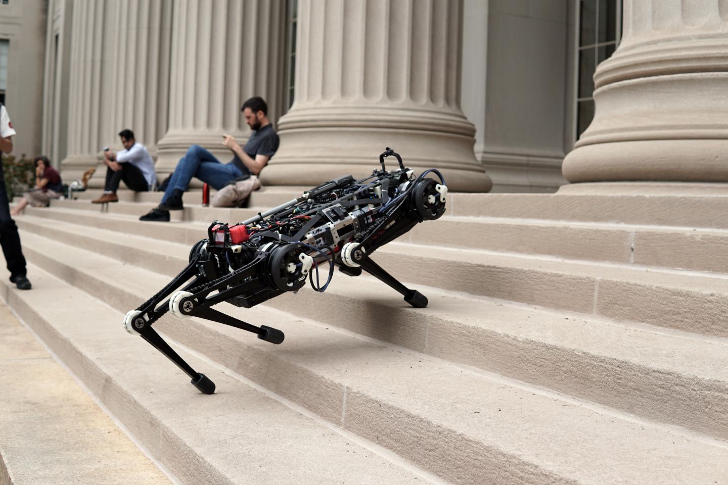 MIT's Cheetah 3 robot can climb stairs and step over obstacles without the help of cameras or visual sensors. (Source: MIT)
