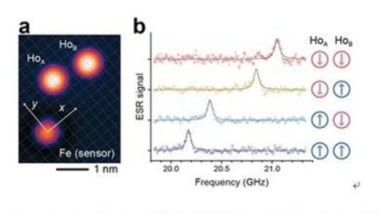One bit of digital information can now be successfully stored  in an individual atom. This result is a breakthrough in the  miniaturization of storage media and has the potential to serve  as a basis for quantum computing. Credit: IBS