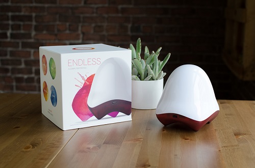 The Endless PC. (Source: Endless)