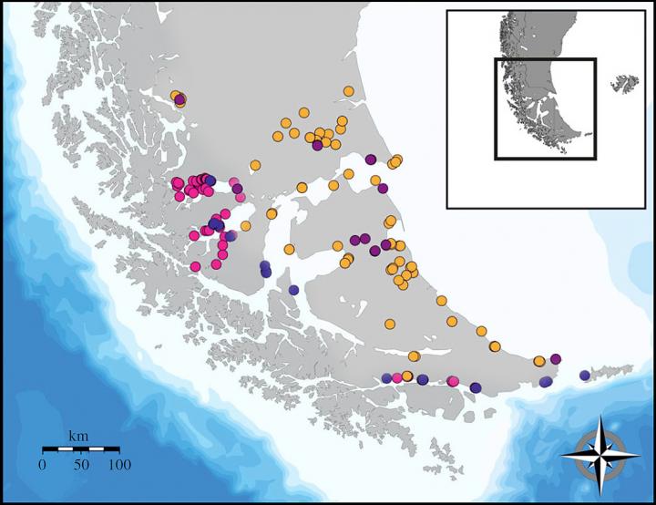 Technological landscapes of nautical mobility (red circles, with some blues that are less well classified by the algorithm) and pedestrian mobility (orange and purple circles) in hunter-gatherer groups that lived in the extreme south of South America. (Source: Briz et al. 2018/Royal Society Open Science)