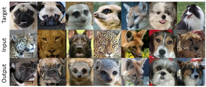 Nvidia researchers pioneered an AI technique with GANs to put on an existing pet’s image the expression and pose of another animal using a single input image. Source: Nvidia