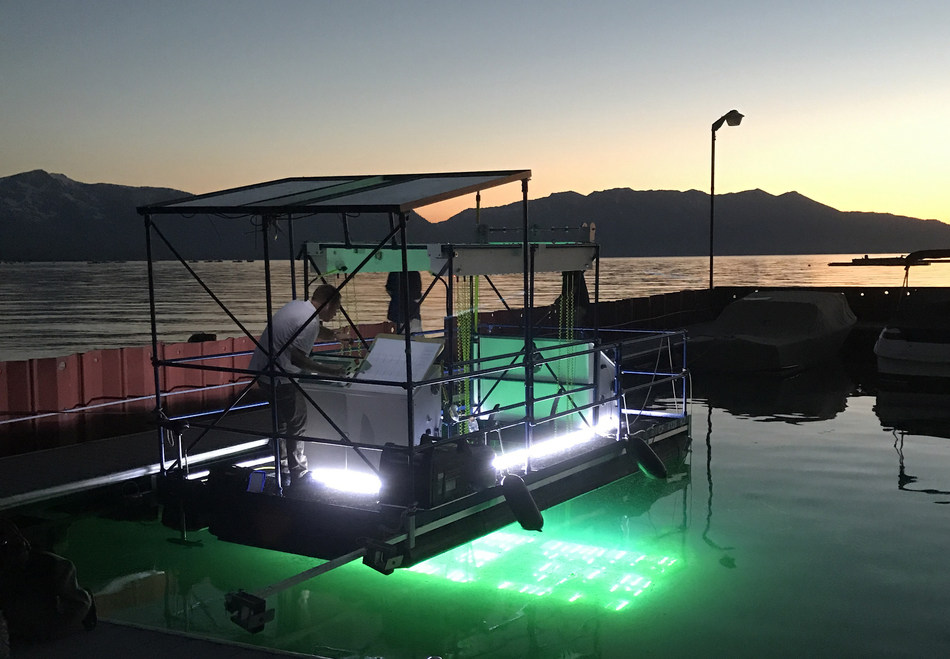 The UV light boat uses targeted UVC light to eradicate aquatic invasive weeds. After the first week of treatment, the weeds are gone. Image credit: Tahoe Fund