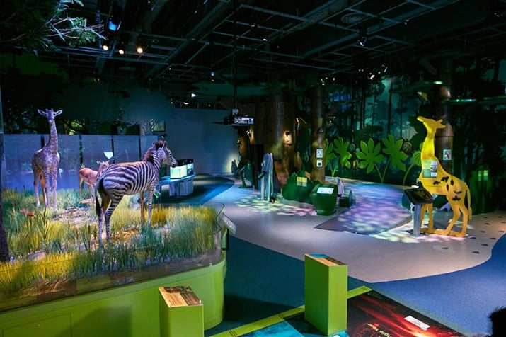 LED lighting was added to new exhibits, including Mangrove Forest, Forest Trail, Woodlands Diorama, Sunrise in the Savana Diorama and the Sandy Beach Diorama. Source: Altman Lighting 