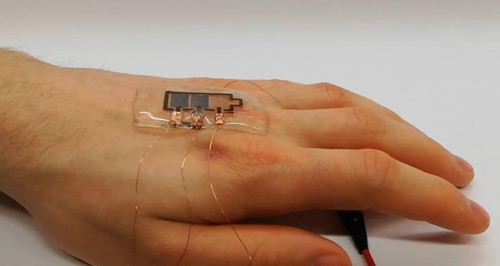 Thanks to its flexibility and adhesion, the biodegradable display can be worn directly on the hand. Source: Manuel Pietsch, KIT