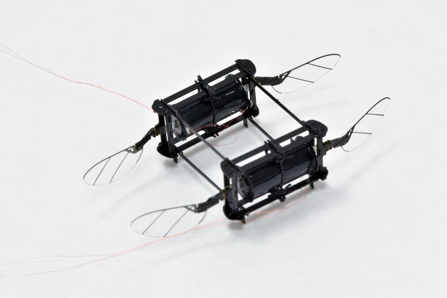 A four-wing, two actuator model could fly in a cluttered environment, overcoming multiple collisions in a single flight. Source: Harvard Microrobotics Lab