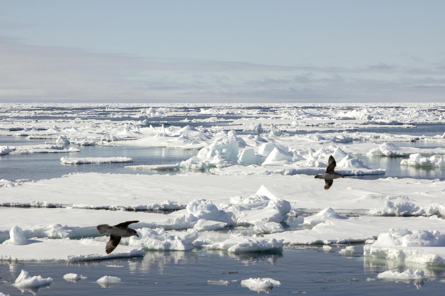 Sea ice in the polar sea. Source: J&oslash;rn Berger-Nyvoll, UiT