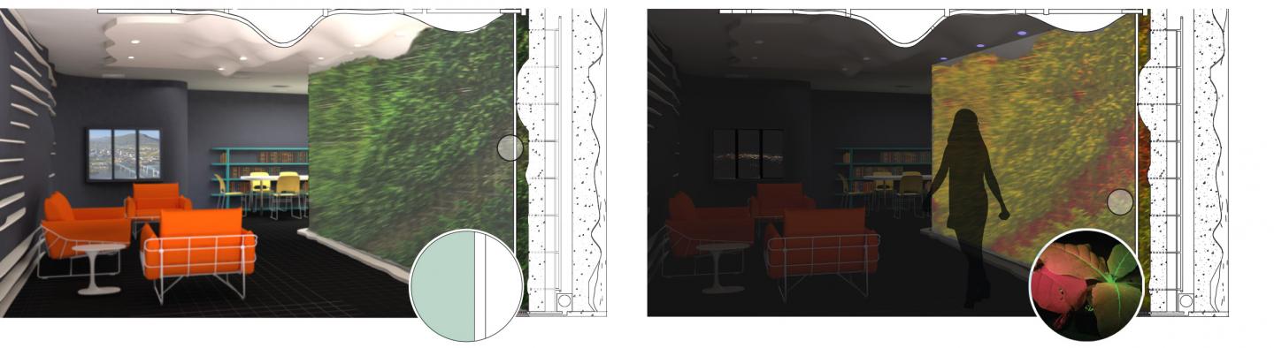 These are perspective images of a conceptual phytosensor (plant) wall. Shown left is the lighted room, and shown right is the darkened room under sense-and-report photonic conditions. Source: Francisco Palacios/Susan G. Stewart/Rana Abudayyeh