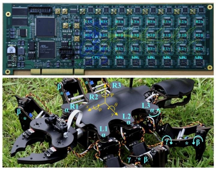 Top, circuit board implementing the controller; bottom, the robot. Source: IEEE Access.