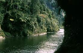 A view of the Whanganui River Credit: Wikipedia