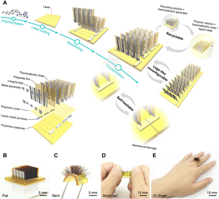 A) Schematic illustration of the design and fabrication process. Optical images of the thermoelectric generator when flat (B), bent (C), stretched (D), and worn on the finger (E). Source: Yan Sun, University of Colorado Boulder.