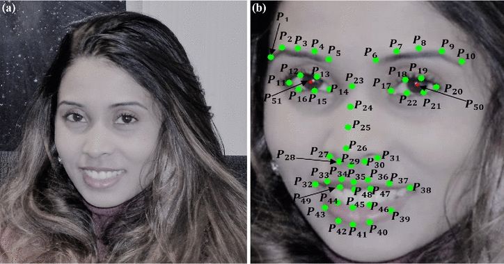Automatic landmark detection. (a) An example input face, (b) landmarks detected using the CHEHRA model. Source: University of Bradford