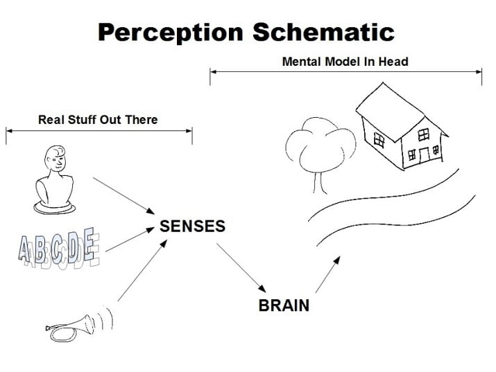 Perception of the exterior world relies on the brain building a mental model based on primary input. (Image credit: C. G. Masi) 