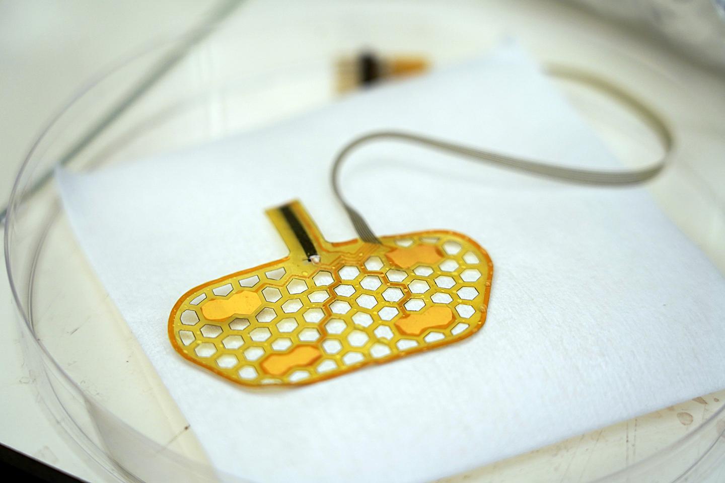 Purdue researchers created wearable technology to help people with swallowing disorders. (Source: Jared Pike/Purdue University)