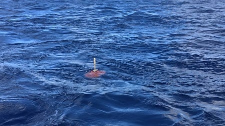 A MERMAID recently launched near Tahiti sends messages to a satellite before diving a mile underwater to begin monitoring for earthquake signals. Source: Frederik Simons, Princeton University