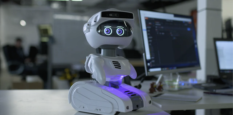This robot can be used in anything from healthcare to data collection. Source: Misty Robotics