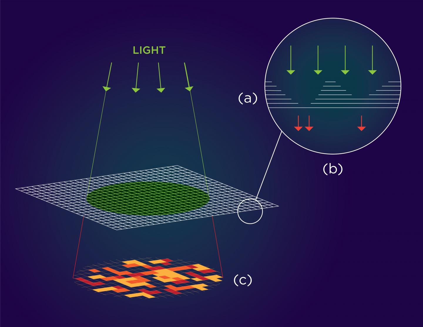 a) At monolayer thickness, this material has the optical properties of a semiconductor that emits light. At multilayer, the properties change and the material doesn't emit light. (b) Varying the thickness of each layer results in a thin film speckled with randomly occurring regions that alternately emit or block light. (c) Upon exposure to light, this pattern can be translated into a one-of-a-kind authentication key that could secure hardware components at minimal cost. Source: Althea Libre