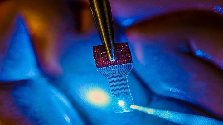 A blue light shines through a clear, implantable medical sensor onto a brain model. See-through sensors, which have been developed by a team of UW-Madison engineers, should help neural researchers better view brain activity. (Image Credit: Justin Williams)