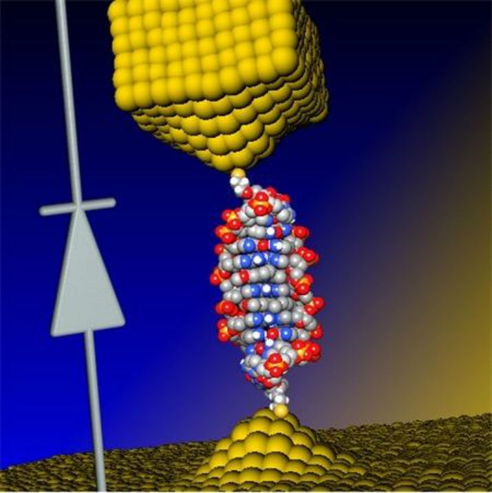 Illustration of how a single-molecule diode is made. It can later be used as an active element in future nanoscale circuits. (Image Credit: University of Georgia/Ben-Gurion University) 