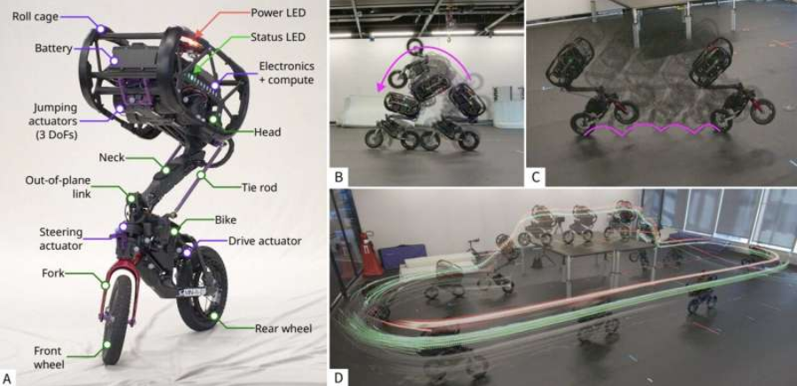 The UMV. (A) Diagram of the UMV, a bicycle-based robot with five actuated degrees of freedom [Links (green) and subcomponents (purple)]. It has steering and rear-wheel drive actuators for basic ground mobility. The design concentrates most of the robot's mass in the Head, which connects to the Bike through a spatial linkage. This linkage consists of the Neck and two tie rods. Powerful actuators in the Head work through the linkage to let the robot "throw" its mass around, enabling dynamic behaviors. Composite images of (B) a front flip, demonstrating high pitch angular momentum and modulation of inertia via body tucking, (C) rear-wheel hopping, where the robot maintains balance like a single-legged hopper, (D) an autonomous table jump sequence, where the robot accelerates, vaults onto a 1-meter platform, traverses it, and lands stably. Source: Bokser, et al.