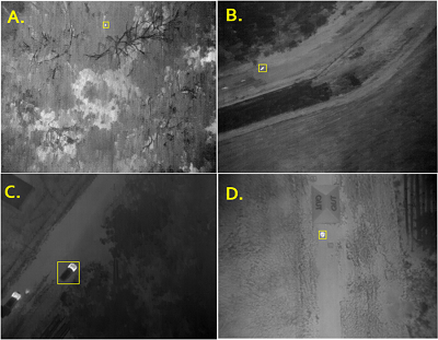 Objects automatically detected by drone-derived thermal imaging: (A) Candidate koala signature, (B) Kangaroo, (C) Car, (D) Human. Source: Queensland University of Technology