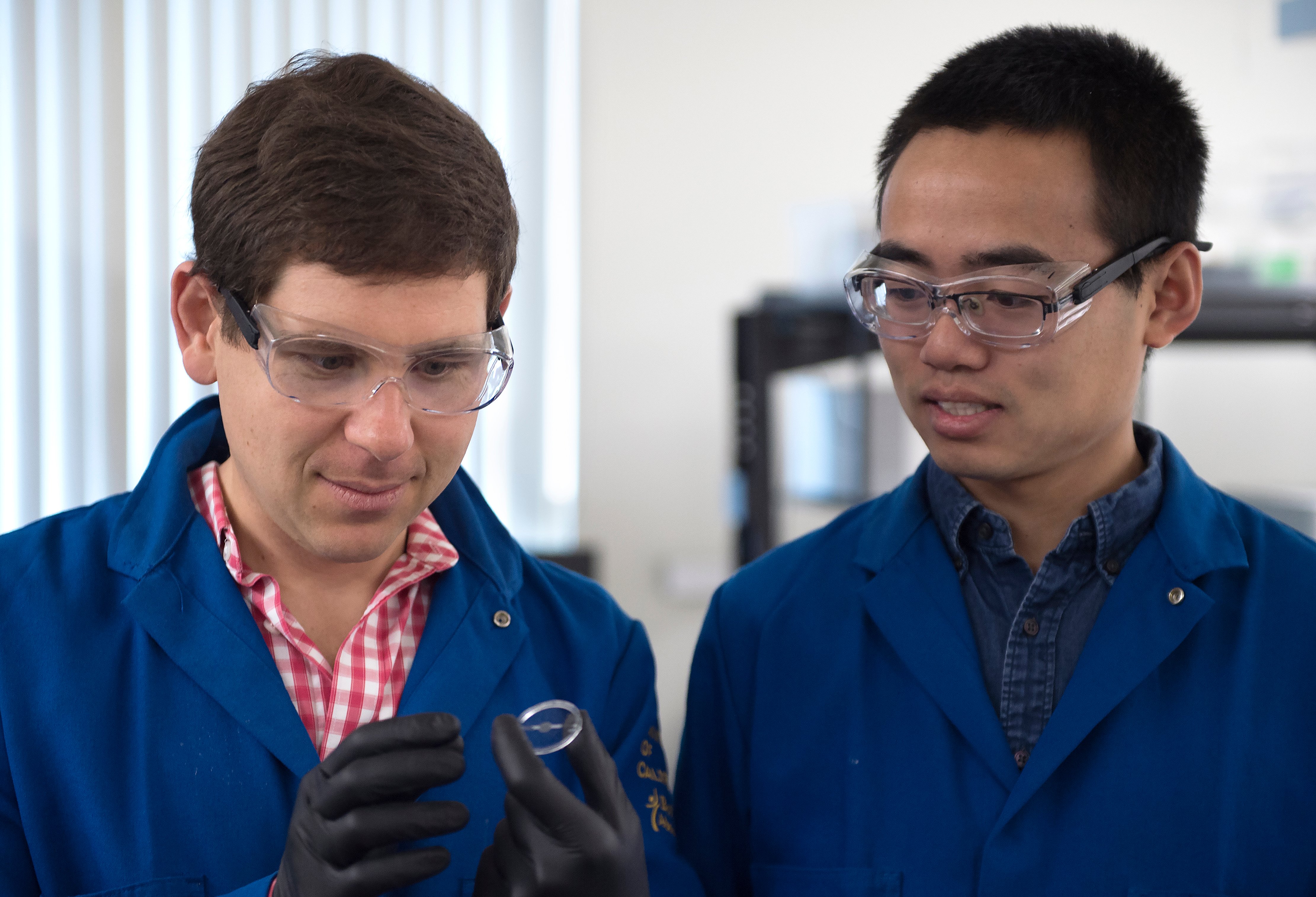 UCI engineering professor Alon Gorodetsky and doctoral student Chengyi Xu have achieved a breakthrough, inventing a stretchy new material modeled after both squid skin and Hollywood dinosaurs with remarkable properties.(Source: Steve Zylius / UCI)