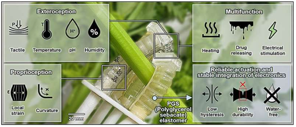 Source: Nature Sustainability (2026). DOI: 10.1038/s41893-026-01780-4