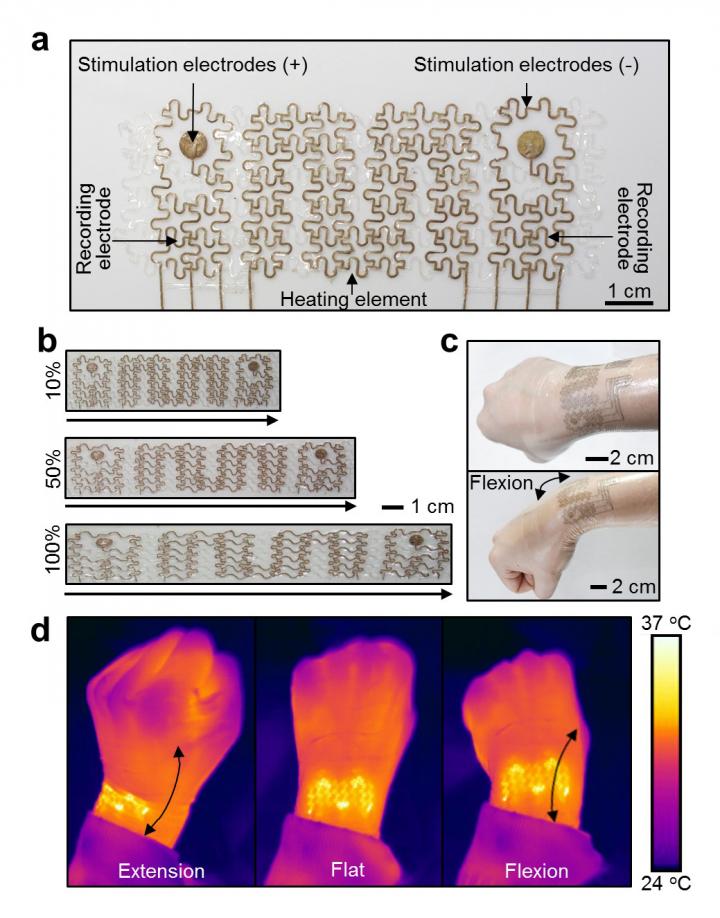 A new wearable device capable of recording the electrical activity of the heart and muscles, as well as delivering therapeutic electrical and thermal stimulations. It is suitable for flexible joints, like the wrist, and allows reliable heat transfer even when the wrist is flexed or extended. (Source: IBS)