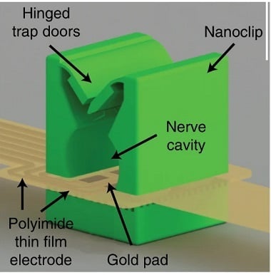 Rendering of a thin-film-integrated nanoclip nerve interface showing key components. Source: Timothy M. Otchy et al.