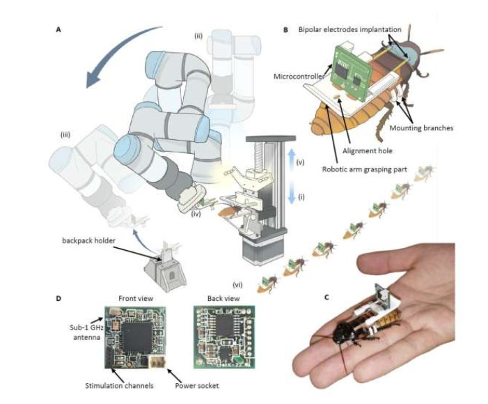 Source: Nanyang Technological University