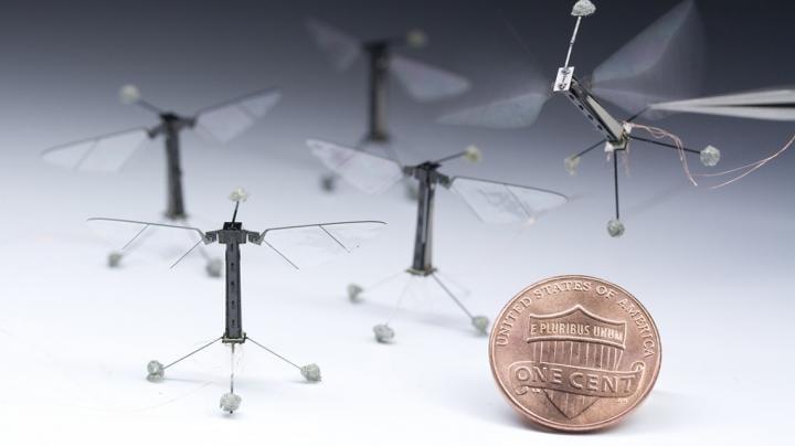 RoboBees manufactured by the Harvard Microrobotics Lab have a 3 centimeter wingspan and weigh only 80 milligrams. Cornell engineers are developing new programming that will make them more autonomous and adaptable to complex environments. Source: Harvard Microrobotics Lab