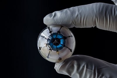 Researchers have fully 3D printed an image sensing array on a hemisphere, which is a first-of-its-kind prototype for a &ldquo;bionic eye.&rdquo; Source: University of Minnesota, McAlpine Group