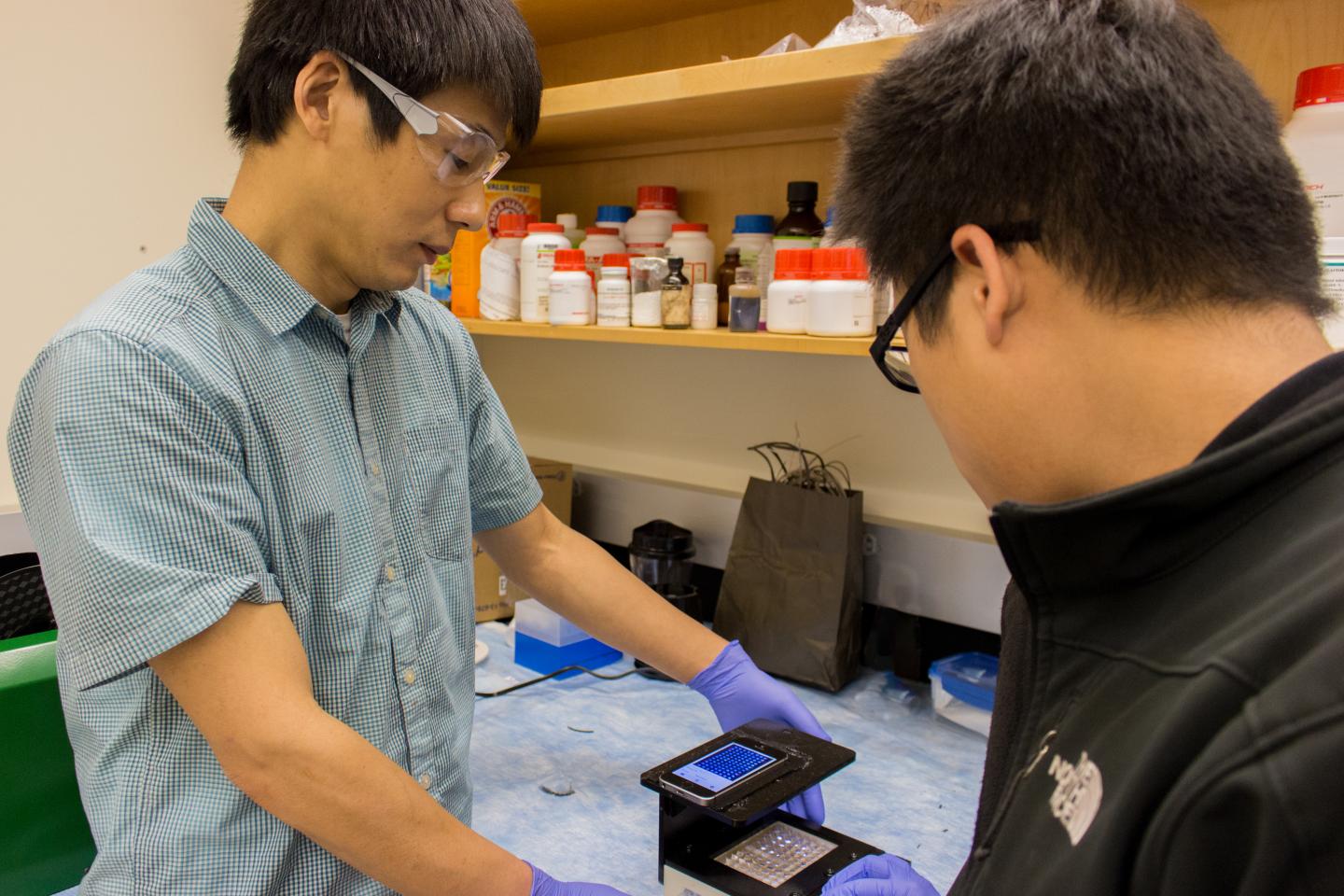 WSU Professor Lei Li and graduate student Yu-Chung Chang (l-r) test the new smartphone that detects 12 common viral and bacterial infectious diseases. Source: Washington State University