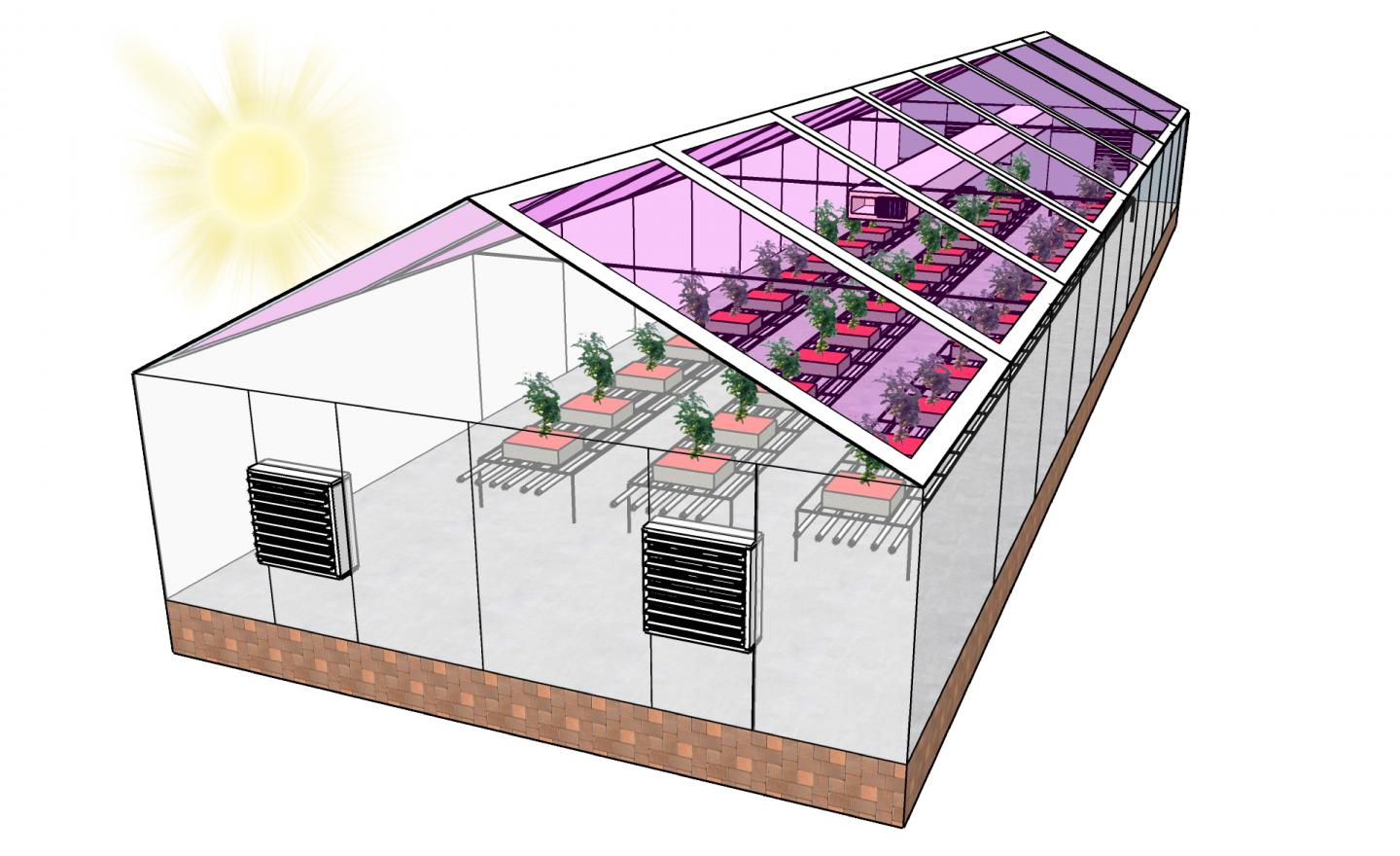 Many greenhouses could become energy neutral by using see-through solar panels to harvest energy - primarily from the wavelengths of light that plants don't use for photosynthesis. In some places this could make greenhouses energy neutral, or even allow them to generate enough electricity to sell it back to the grid -- creating a new revenue stream for growers. Source: Brendan O'Connor, NC State University